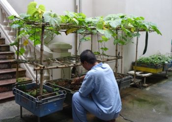 Rối loạn mất ngủ và cách điều trị không dùng thuốc: Hướng đi an toàn cho giấc ngủ khỏe mạnh