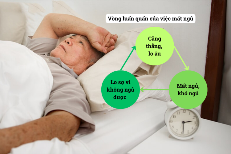 Bệnh mất ngủ ở người già: Nguyên nhân và hiệu quả hỗ trợ từ máy điện trường cao áp