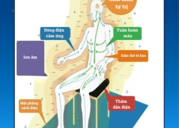 Công dụng hỗ trợ của máy điện trường cao áp trong điều trị bệnh mất ngủ ở người già
