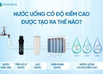 Nước có độ kiềm cao là gì? Có cân bằng được môi trường aixt trong cơ thể?